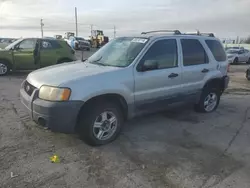 Ford Escape salvage cars for sale: 2005 Ford Escape XLT