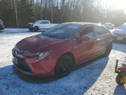 Salvage cars for sale from Copart Ontario Auction, ON: 2021 Toyota Corolla