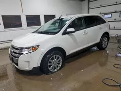 2013 Ford Edge SEL en venta en Blaine, MN