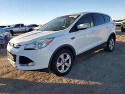 Salvage cars for sale from Copart Amarillo, TX: 2014 Ford Escape SE