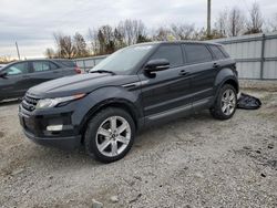 2013 Land Rover Range Rover Evoque Pure Plus en venta en Lawrenceburg, KY