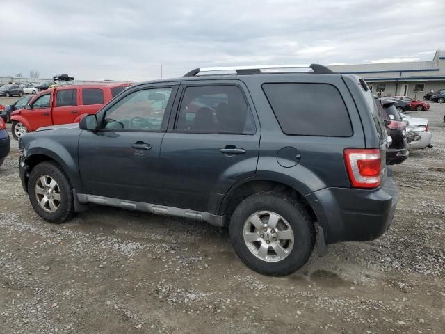 2009 Ford Escape Limited