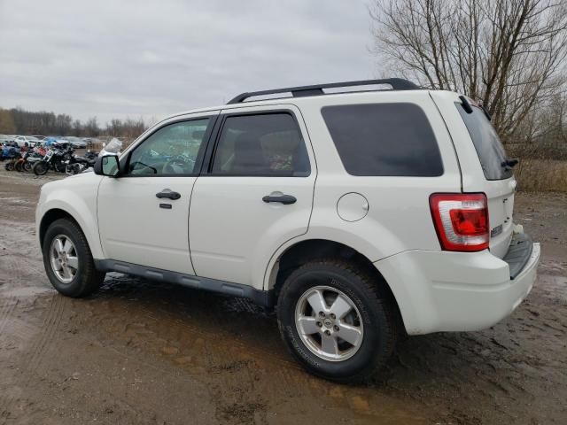 2011 Ford Escape XLT