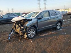 Salvage cars for sale at Elgin, IL auction: 2014 Honda CR-V EX