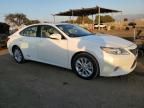 2013 Lexus ES 300H