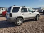 2002 Ford Escape XLT