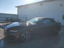 Ford Mustang Premium salvage cars for sale: 2024 Ford Mustang Premium