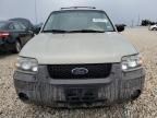 2006 Ford Escape XLT