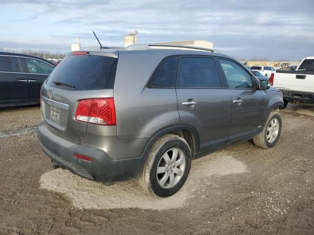 2011 KIA Sorento Base