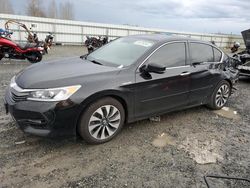 Honda salvage cars for sale: 2017 Honda Accord Hybrid EXL