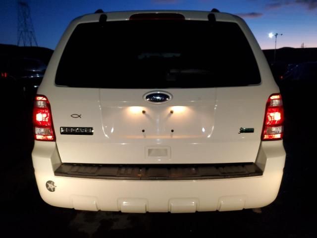 2010 Ford Escape XLT