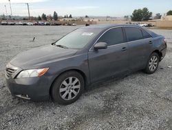 Toyota salvage cars for sale: 2008 Toyota Camry LE