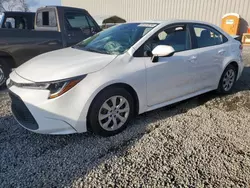 Toyota salvage cars for sale: 2021 Toyota Corolla LE