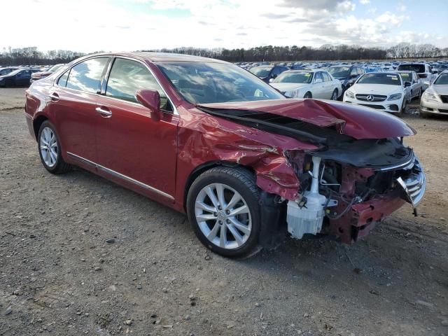 2010 Lexus ES 350