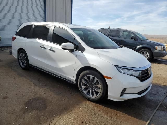 2021 Honda Odyssey EXL