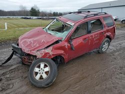 Salvage cars for sale at Columbia Station, OH auction: 2011 Ford Escape XLT