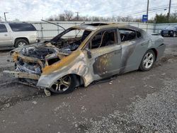 Vehiculos salvage en venta de Copart Hillsborough, NJ: 2019 Dodge Charger SXT