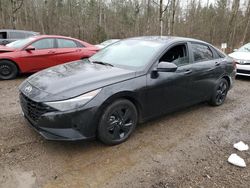 Salvage cars for sale at Cookstown, ON auction: 2023 Hyundai Elantra SEL