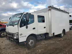 Salvage trucks for sale at Brookhaven, NY auction: 2016 Hino 195