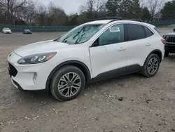 Ford Escape Vehiculos salvage en venta: 2020 Ford Escape SEL