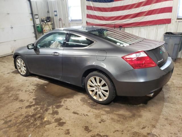 2010 Honda Accord EXL