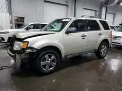 Ford salvage cars for sale: 2010 Ford Escape XLT