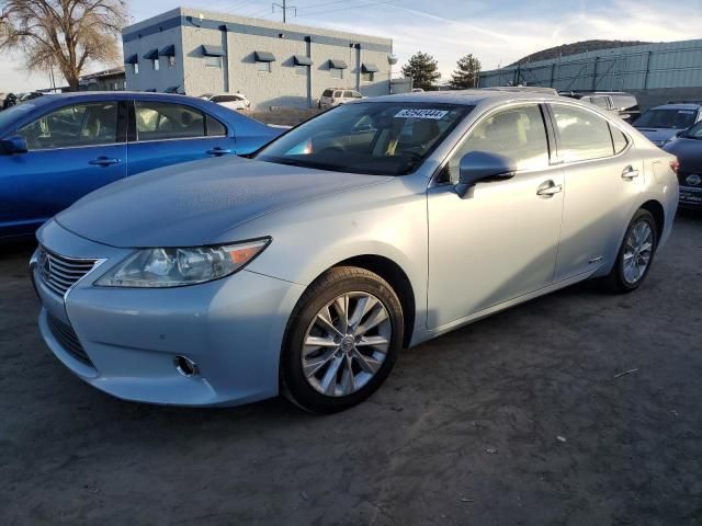 2013 Lexus ES 300H