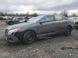 Salvage cars for sale at Hillsborough, NJ auction: 2010 Toyota Camry Base