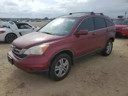 Salvage cars for sale at San Antonio, TX auction: 2011 Honda CR-V EXL