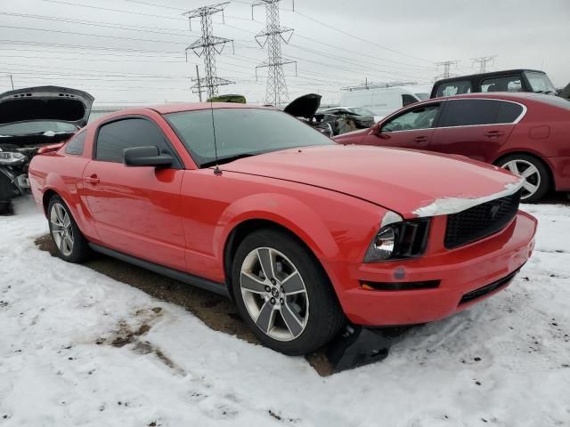 2005 Ford Mustang