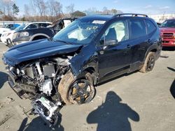 Vehiculos salvage en venta de Copart Spartanburg, SC: 2023 Subaru Forester Wilderness