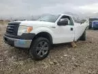 2010 Ford F150