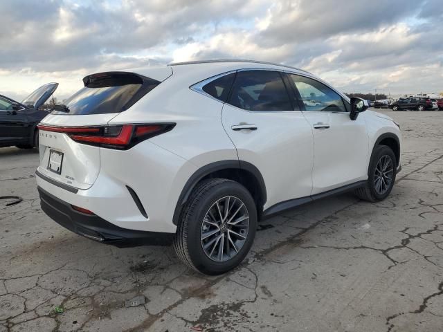 2025 Lexus NX 350 Premium