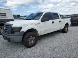 Ford f-150 salvage cars for sale: 2009 Ford F150 Supercrew