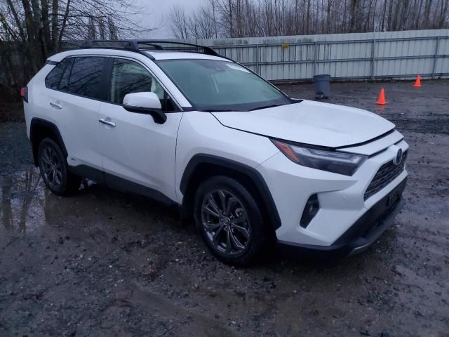 2023 Toyota Rav4 Limited