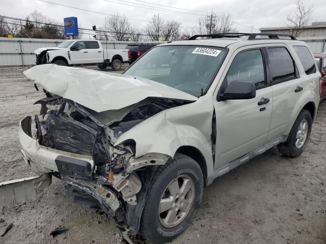 2009 Ford Escape XLT