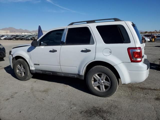 2008 Ford Escape HEV