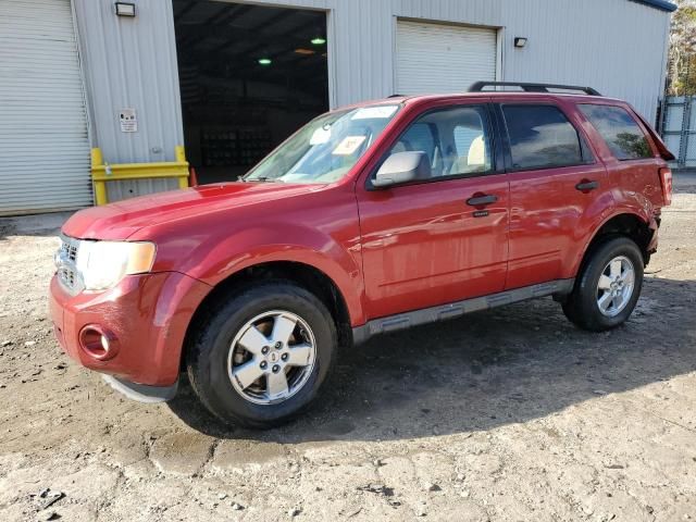 2010 Ford Escape XLT