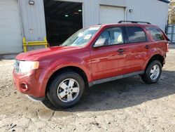 Ford Escape Vehiculos salvage en venta: 2010 Ford Escape XLT