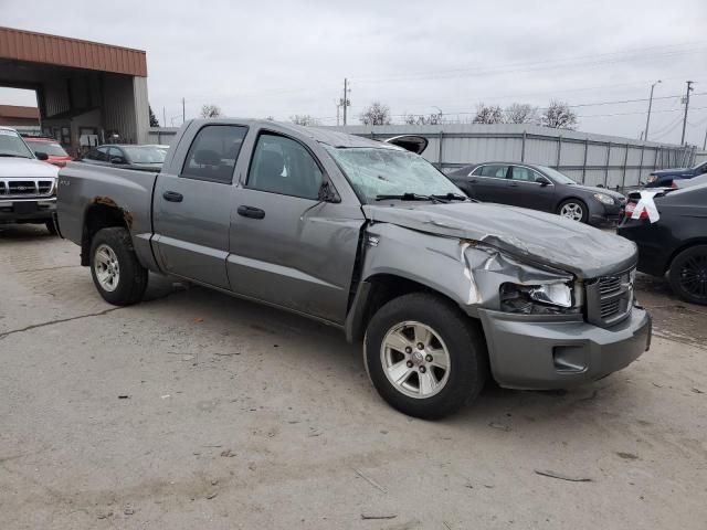 2010 Dodge Dakota SXT