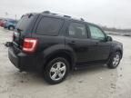 2009 Ford Escape Limited