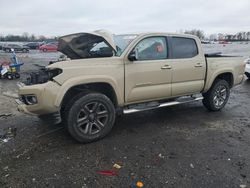 Salvage cars for sale at Fredericksburg, VA auction: 2019 Toyota Tacoma Double Cab