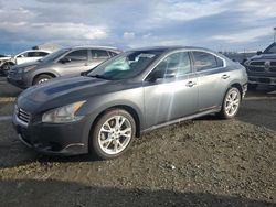 Salvage cars for sale from Copart Antelope, CA: 2013 Nissan Maxima S