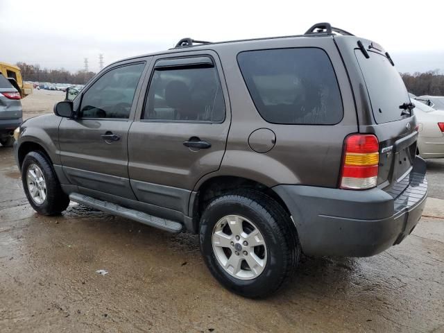 2006 Ford Escape XLT