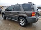 2006 Ford Escape XLT