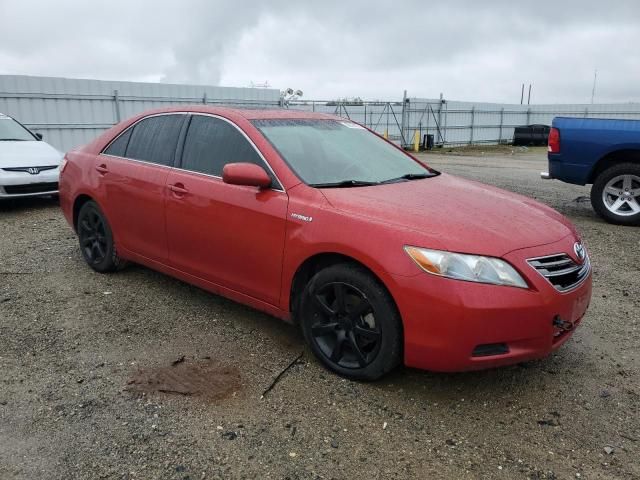 2007 Toyota Camry Hybrid