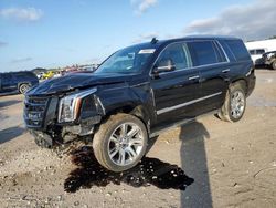 Cadillac Vehiculos salvage en venta: 2019 Cadillac Escalade Premium Luxury