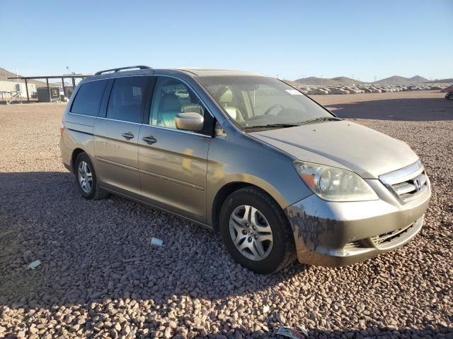 2005 Honda Odyssey EXL