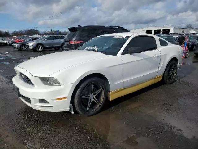 2013 Ford Mustang