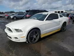 Salvage cars for sale at New Britain, CT auction: 2013 Ford Mustang